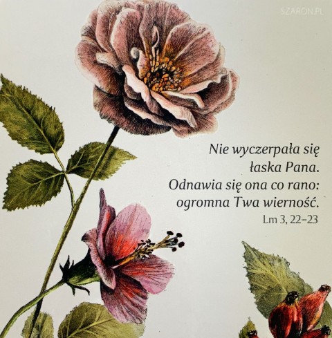 Nie wyczerpała się łaska - podstawka korkowa