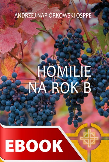 Homilie na rok B