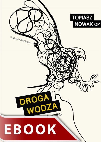 Droga wodza