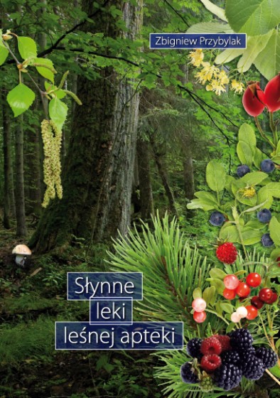 Słynne leki leśnej apteki Słynne leki leśnej apteki