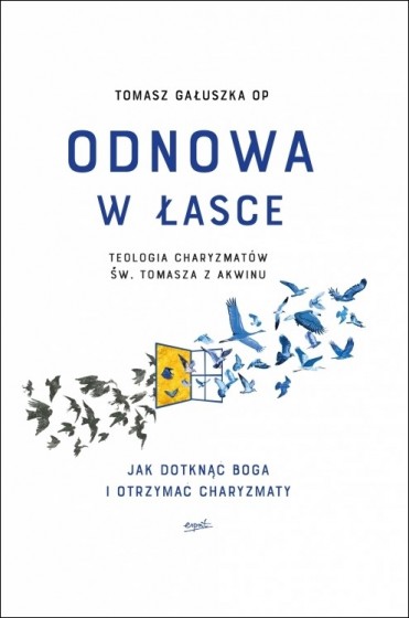 Odnowa w łasce