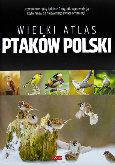 Wielki atlas ptaków Polski
