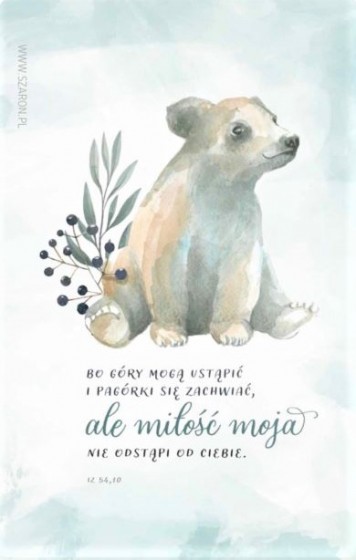 Misiu - magnes