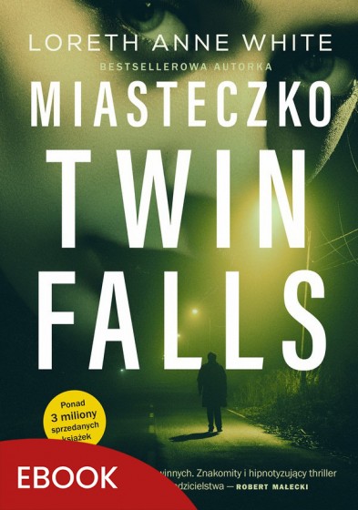 Miasteczko Twin Falls