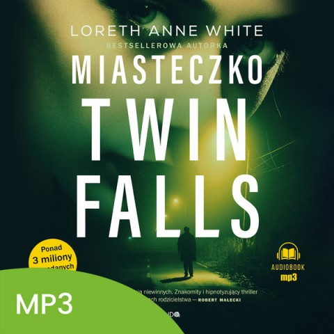 Miasteczko Twin Falls