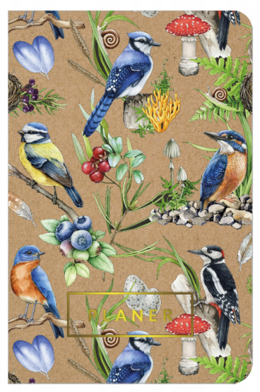 Planer Ptaki Planer Ptaki