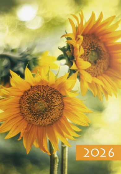 Terminarz B7 Kolorowy - Słoneczniki