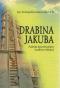 Drabina Jakuba Praktyka karmelitańskiej modlitwy biblijnej - Praktyka karmelitańskiej modlitwy biblijnej, Jan Ewangelista Krawczyk OCD