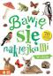 W lesie Bawię się naklejkami - Bawię się naklejkami, red. Joanna Liszewska